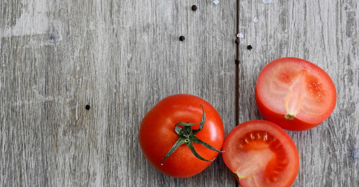 Can dogs eat tomato