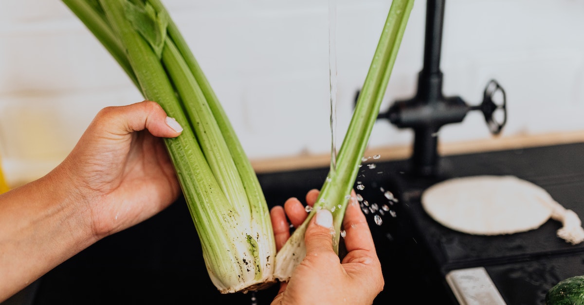 Can Dogs Eat Celery