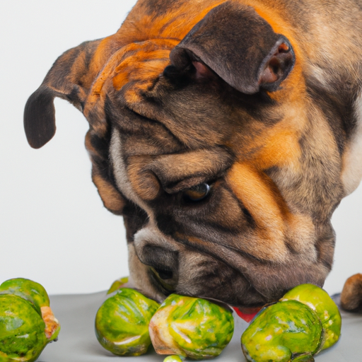 Can Bulldogs Eat Brussels Sprouts