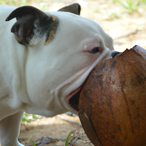 Can Bulldogs Eat Coconut